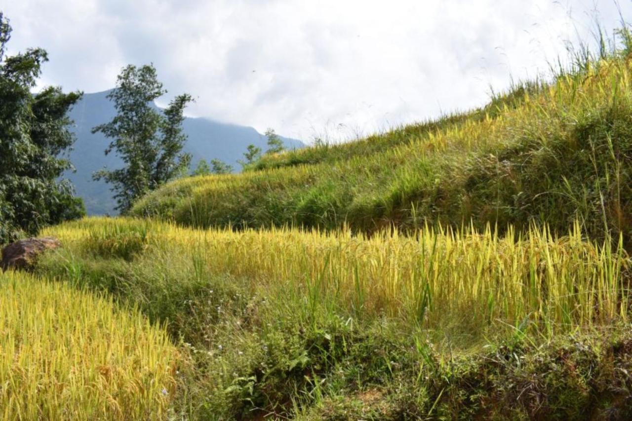 Luckydaisy Buffalo House Sapa Exterior foto